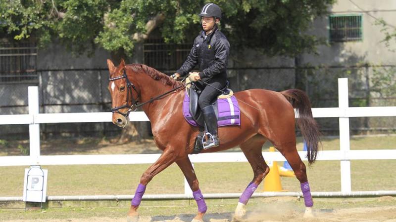 Yu Jen A para-equestrian rider is pictured galloping on his horse.